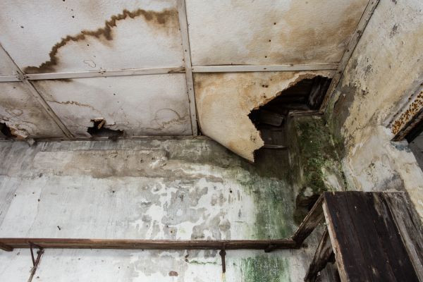 Water Damage Service in Corona