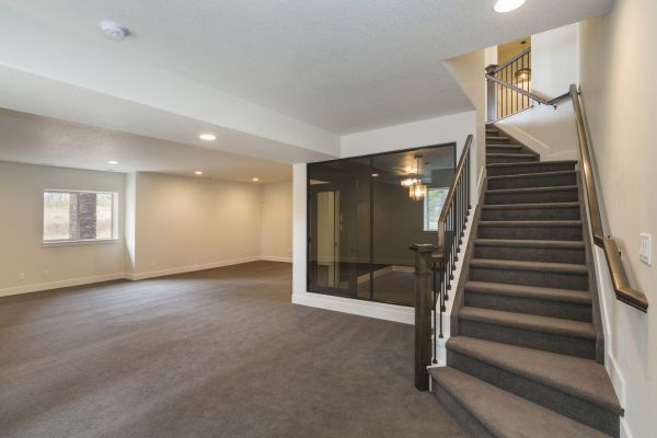 Basement Restoration Service in Corona