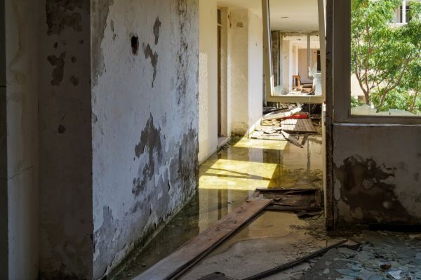 Cost of Water Removal Service in Corona