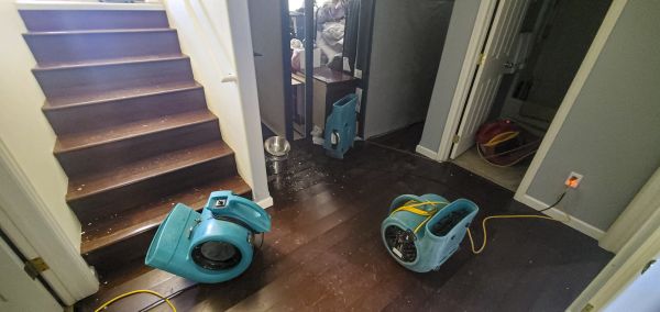 Water Damage Remediation in Corona