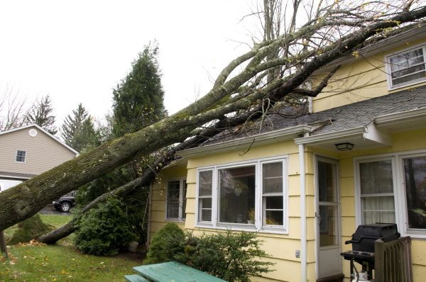 Hurricane Damage Repair in Corona